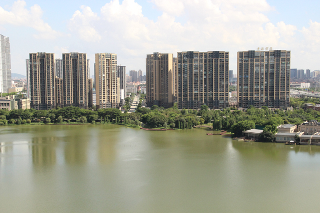 捞起捞起，风生水起！“顺德鱼生实训基地”落地