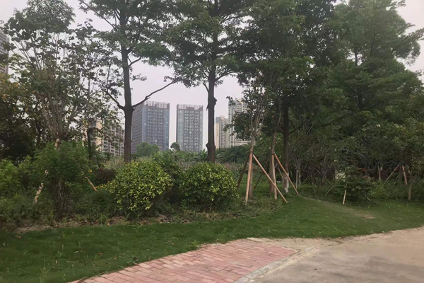 顺德勒流街道龙洲路(西丫片区)节点景观提升改造项目竞争性磋商公告 顺德勒流街道龙洲路(西丫片区)节点景观提升改造项目竞争性磋商公告