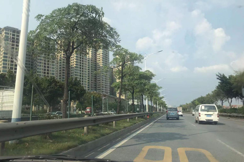 佛山市南海有轨电车1号线2023-2026年供电系统设备维保项目招标公告 佛山市南海有轨电车1号线2023-2026年供电系统设备维保项目招标公告