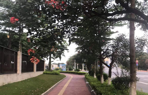 三水西南上坳村篮球场边和村面鱼塘挡土墙护栏及周边环境提升工程竞争性磋商公告 三水西南上坳村篮球场边和村面鱼塘挡土墙护栏及周边环境提升工程竞争性磋商公告