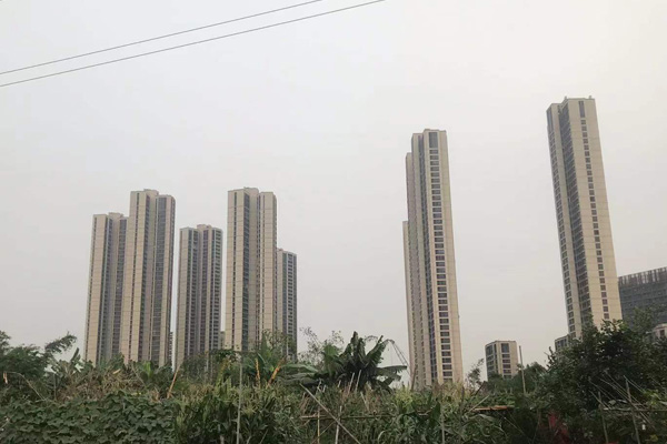 佛山禅城“绿美张槎·与学同游”生态建设研学活动在王借岗森林公园举行 佛山禅城“绿美张槎·与学同游”生态建设研学活动在王借岗森林公园举行