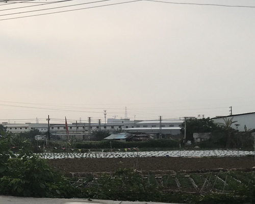 禅城祖庙朝东大豆村地块改造等项目安置房抽签选房服务项目竞争性磋商公告 禅城祖庙朝东大豆村地块改造等项目安置房抽签选房服务项目竞争性磋商公告