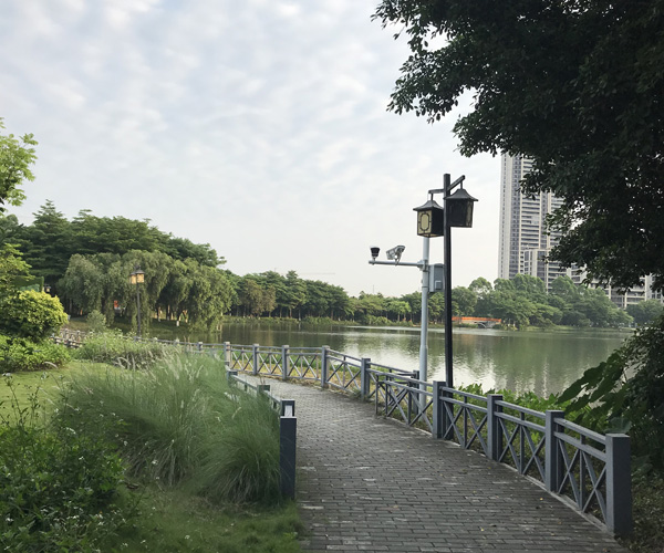 顺峰山公园或被顺德华侨城接管?官方回应来了! 顺峰山公园或被顺德华侨城接管?官方回应来了!