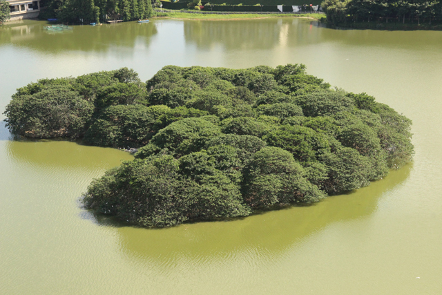 佛山禅城绿美建设再加力再提速