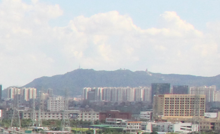 2023年全国小学数学跨学科主题研讨会在禅城举办