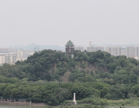佛山植物园：探秘绿色宝藏，感受自然之美