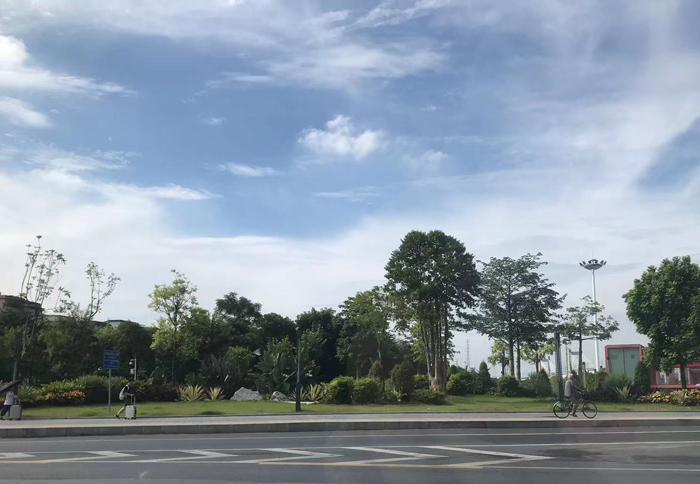 春节元宵来禅城 一站式吃喝玩乐购