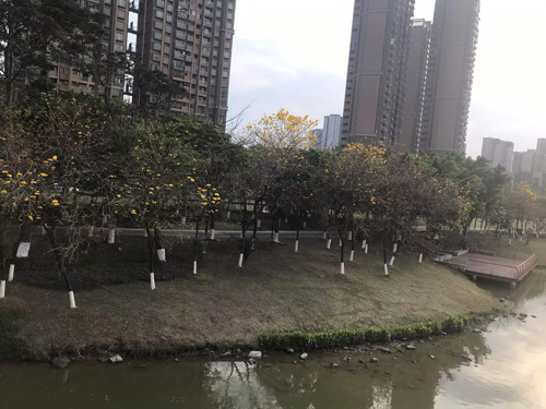 佛山市柒伍柒科技有限公司旅游景点部分推荐