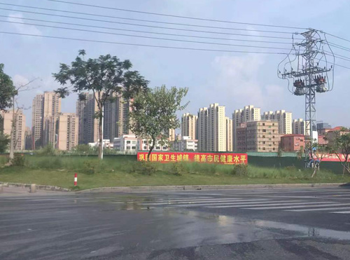 广云路:佛山市的交通动脉与文化长廊 广云路:佛山市的交通动脉与文化长廊