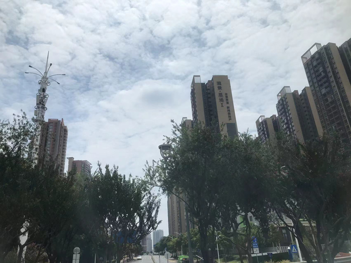 佛山市柒伍柒科技有限公司建新路——连接城市的脉络 佛山市柒伍柒科技有限公司建新路——连接城市的脉络