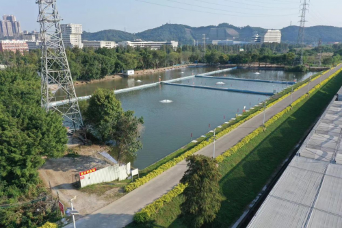 远方钓鱼场 荣获2024年度佛山市首届《金牌人气垂钓园》评选活动 远方钓鱼场 荣获2024年度佛山市首届《金牌人气垂钓园》评选活动