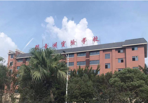 佛山多所民办中小学补录登记入口→ 佛山多所民办中小学补录登记入口→