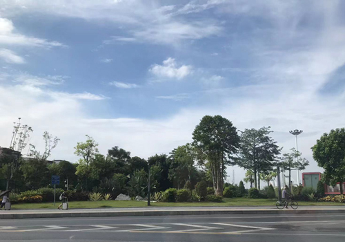 2024年乡村振兴路线绿化保洁日常管理项目竞争性磋商公告 2024年乡村振兴路线绿化保洁日常管理项目竞争性磋商公告