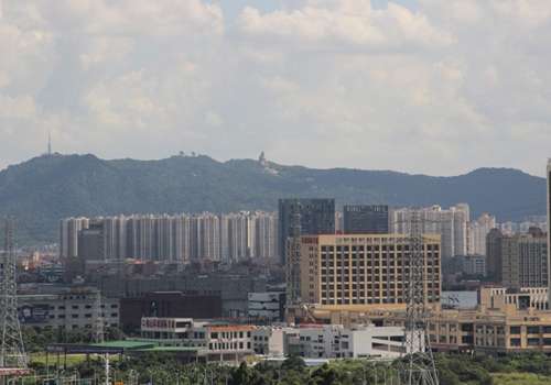 佛山禅城区2024年基干民兵集合点验大会举行