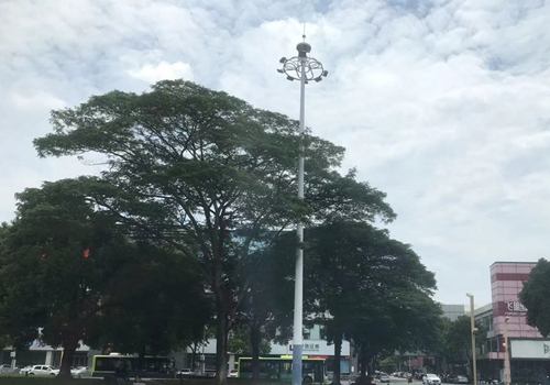 端午寻幽:三水森林公园之旅 端午寻幽:三水森林公园之旅