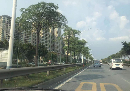 东华路——佛山市高明区的繁华动脉 东华路——佛山市高明区的繁华动脉