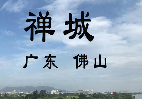 禅城区发展和改革局组织召开促消费政策措施研讨会 禅城区发展和改革局组织召开促消费政策措施研讨会