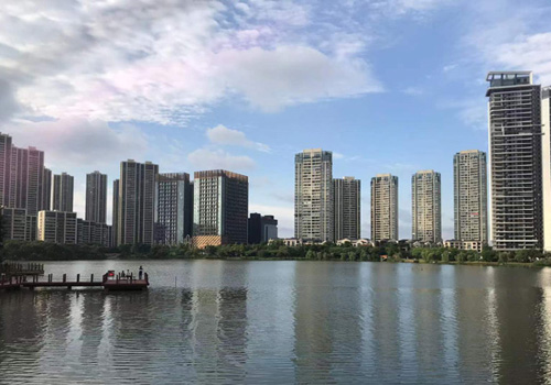 佛山举办“走出去”专题培训会,多措并举为企业出海护航 佛山举办“走出去”专题培训会,多措并举为企业出海护航