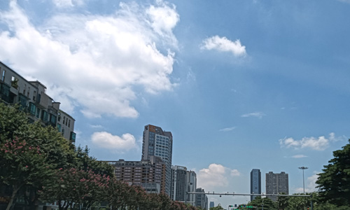 佛山市养犬管理服务系统运行近两年来成效显著 市民称赞 佛山市养犬管理服务系统运行近两年来成效显著 市民称赞