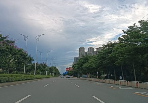 荷岳路：顺德区的活力动脉