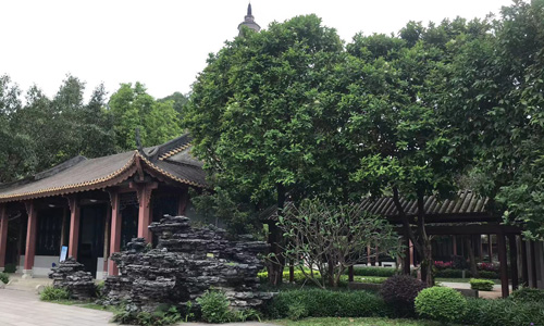 黎湖湿地公园:顺德的自然瑰宝 黎湖湿地公园:顺德的自然瑰宝