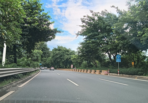 新景路:顺德区的活力之径 新景路:顺德区的活力之径