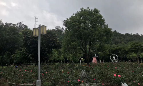 熹涌公园：顺德的绿色心灵驿站